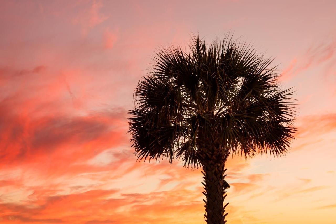 1314 Pelican Watch - Seabrook Island - Beachfront 5 Star Condo - Fido Friendly Екстериор снимка