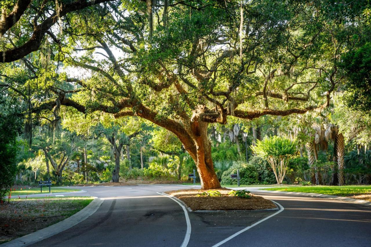 1314 Pelican Watch - Seabrook Island - Beachfront 5 Star Condo - Fido Friendly Екстериор снимка