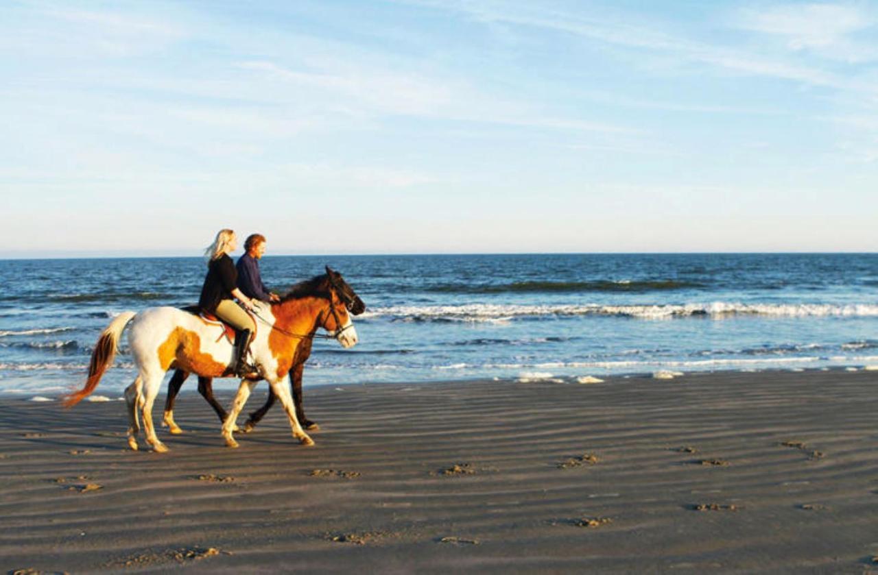 1314 Pelican Watch - Seabrook Island - Beachfront 5 Star Condo - Fido Friendly Екстериор снимка